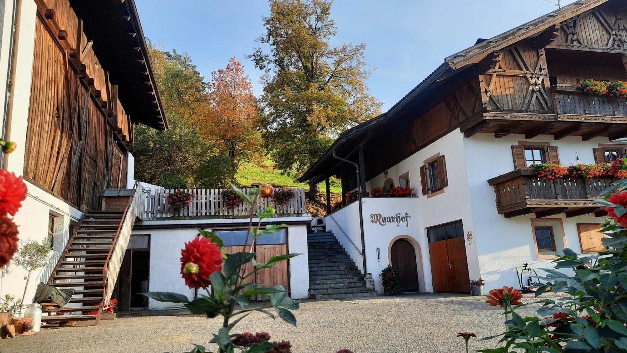 Moarhof Gufidaun Apartman Chiusa Kültér fotó